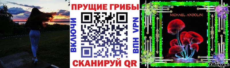 Псилоцибиновые грибы Psilocybine cubensis  Камбарка 